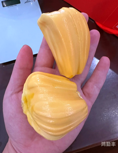 菠萝菠萝蜜视频高清观看在线5菠萝菠萝蜜视频免费高清观看的乐趣与体验