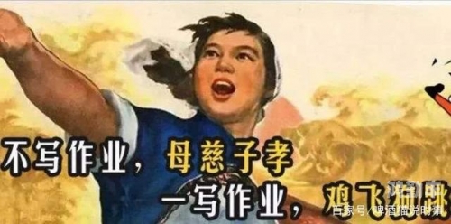 坐在鸡上写作业好疼高清无码坐在鸡上写作业的特殊体验