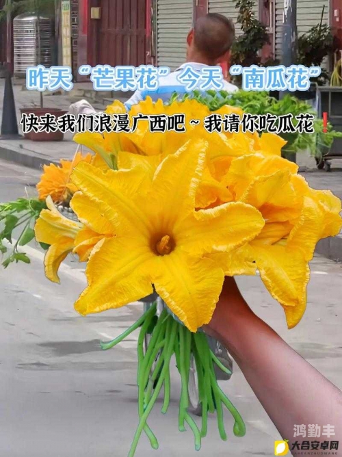 51吃瓜 今日吃瓜 黑脸不打烊51吃瓜，今日吃瓜，黑脸不打烊——瓜田里的故事与笑料