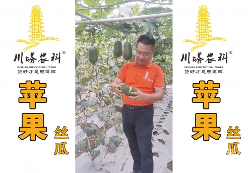 小黄鸭视频在线下载看-丝瓜ios视频丝瓜小黄鸭视频与丝瓜iOS视频的探索之旅-第2张图片
