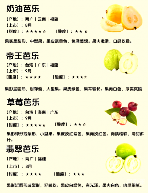 芭乐APP官方网站入口详解-第2张图片