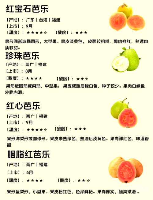 芭乐APP官方网站入口详解-第1张图片