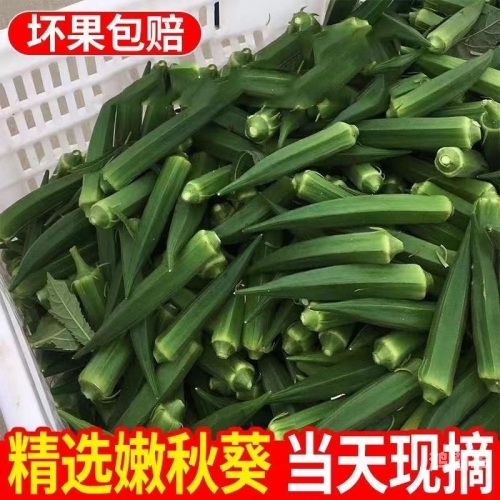 探索水果与蔬菜的魅力——香蕉、丝瓜、草莓、秋葵、小猪芭乐与茄子的在线世界-第2张图片