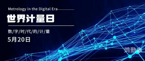 101ys探索数字世界中的101ys