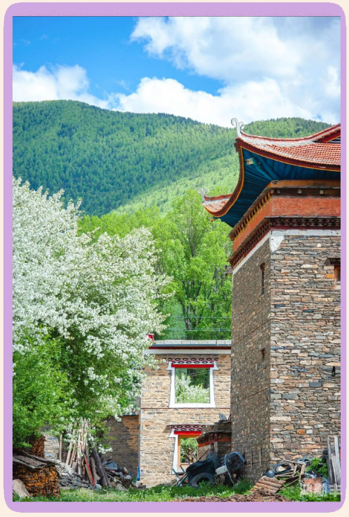 色五五月五月开五月之色，五月盛开-第1张图片