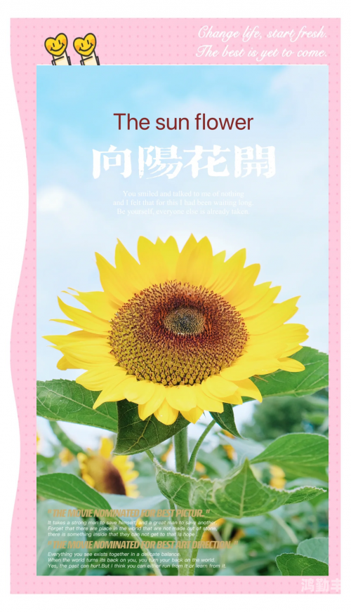 向日葵色斑卐卐向日葵向日葵色斑的秘密——卐卐向日葵的绚烂之旅-第1张图片