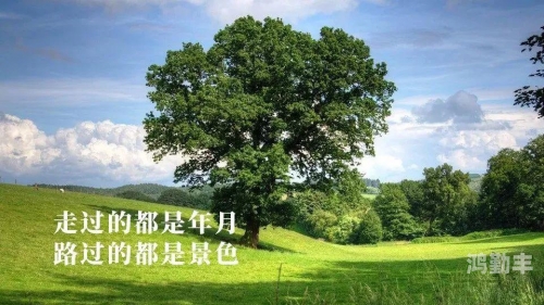 正能量汇聚之地——www网址的探索与启示-第2张图片
