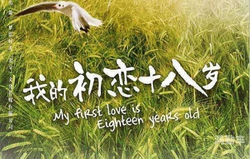 满18岁才能看记得带纸玉兔社区，一个充满活力与温馨的社区-第2张图片