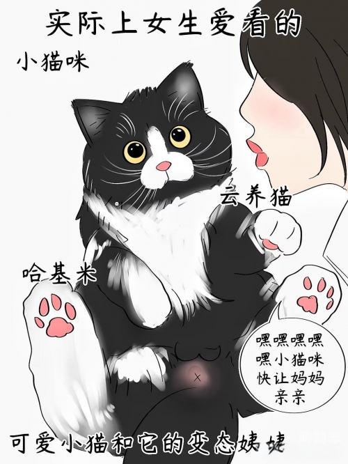 羞羞漫画，探索新章节的入口与下载体验