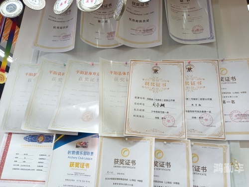 天天打波利弓箭手加点天天打波利，弓箭手加点策略全解析