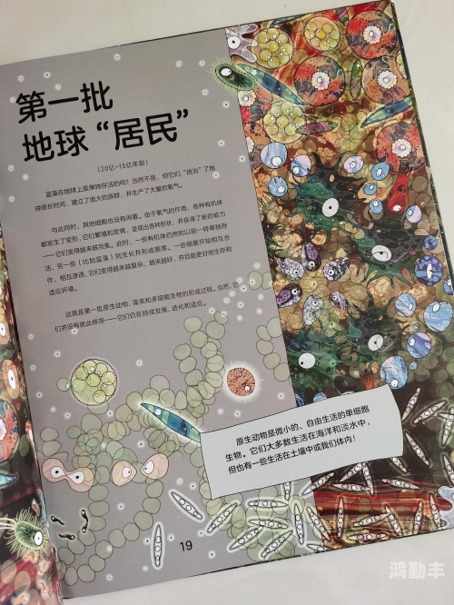 魔法门3死亡阴影秘籍死亡阴影秘籍，探寻生命与未知的交汇点
