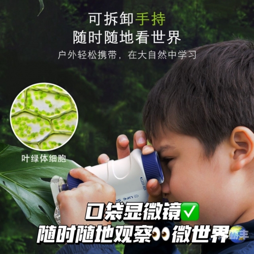 世界上最小的B探索世界上最小的B——微观世界的奇妙之旅-第1张图片