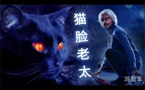 老骚B与老太太的温馨视频记录-第1张图片