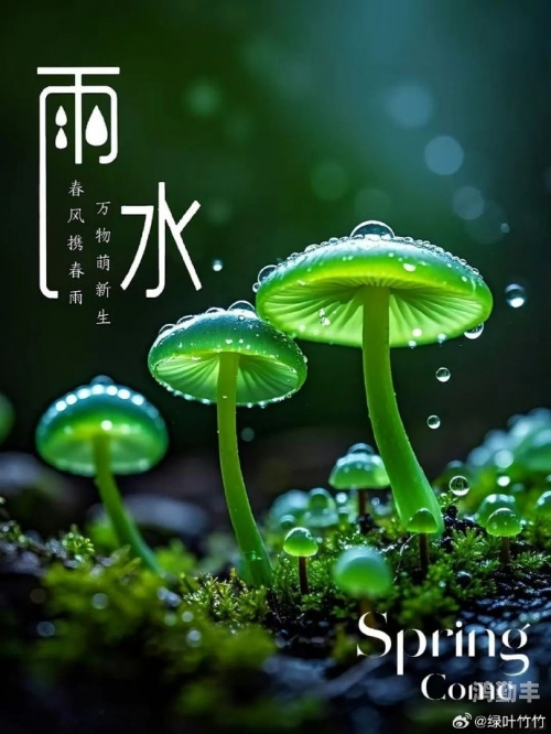 春雨后唐孟郊纯欲H的探索与解读-第3张图片