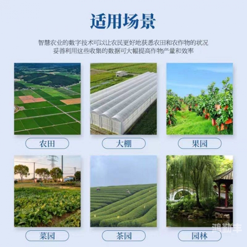 大地资源中文在线观看免费版高清悠悠在线——构建高效便捷的在线交流平台-第2张图片