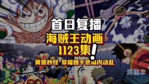 nds海贼王巨人战争2金手指NDS海贼王巨人战争2，航海冒险的全新篇章