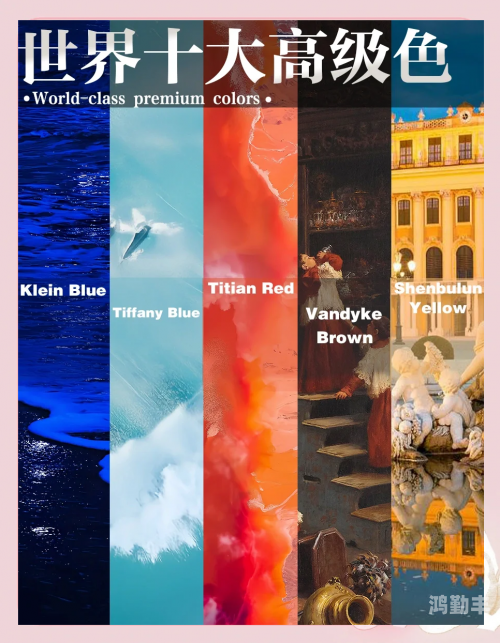 五彩斑斓的色彩世界——白、洁、美、红的交织与探索-第2张图片
