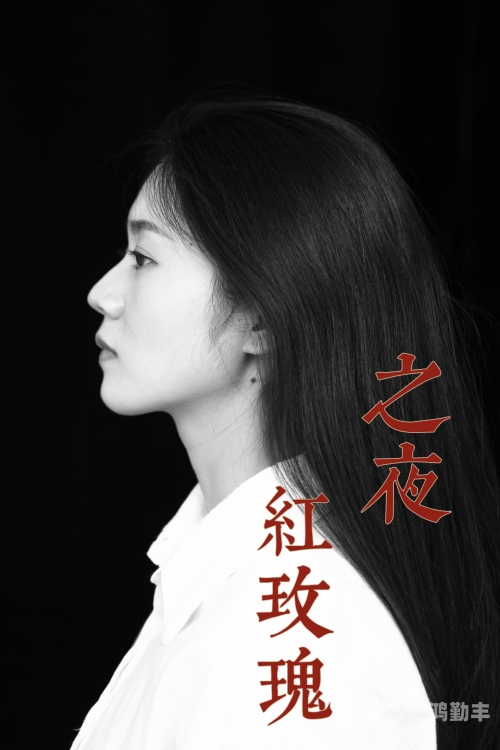 无人区免费高清版观看无人区玫瑰与夜色玫瑰，独特之美与深邃之魅-第3张图片