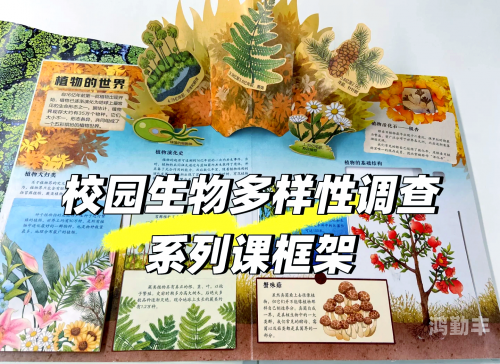 含羞草实验研所入口网站直含羞草实验研所的奇妙之旅-第2张图片