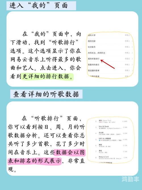 网易云音乐年度报告如何查看？一文全解析