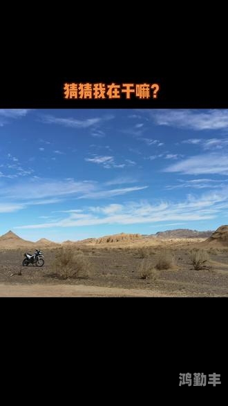 无人区高清版免费观看指南-第3张图片