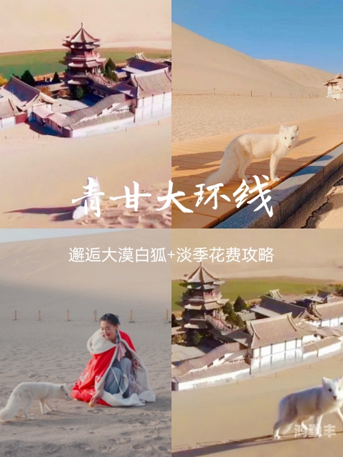 无人区高清版免费观看指南-第1张图片