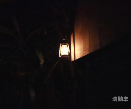japonensisjavahbb水多多探索Japonensis的神秘世界，Javahbb与水多多的奇妙之旅-第2张图片