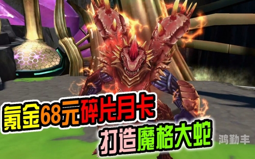神秘英雄碎片，探寻与传奇的交织