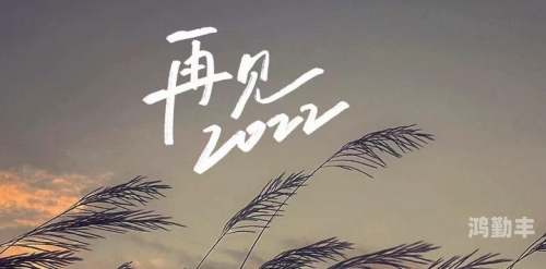 2022年，白天的躁动、夜晚的激情与日复一日的活力-第3张图片