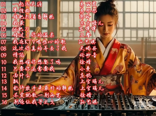 午夜DJ，在线播放的魅力与体验-第2张图片