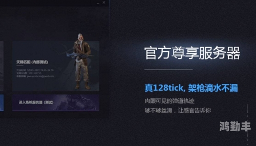 老外免费CSGO交易网站下载指南