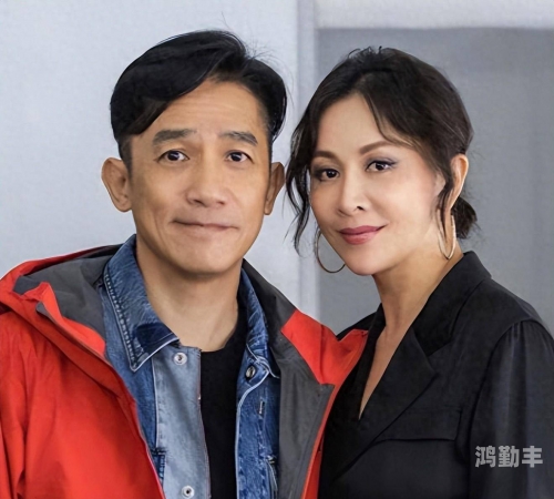 刘嘉玲2020刘嘉玲遭遇强奸案的深度思考-第2张图片