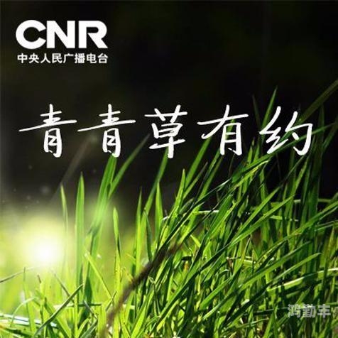 青青草偷拍激片网络色情内容对青少年成长的影响——以青青草偷拍激片为例