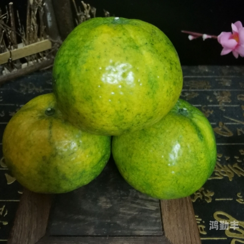 中文字幕一线产区和二线中文字幕下的产区探索，一线与二线之比较