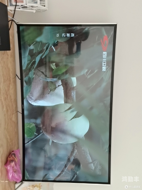 日本的高清电视播放器有哪些品牌日本市场上的高清电视播放器种类及特点-第3张图片
