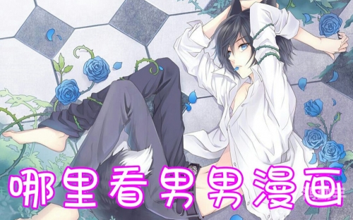 车车好快的车车黄漫画男生车车，速度与激情的探索-第2张图片