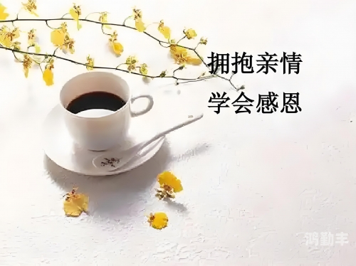 大团圆结，亲情高洁-第2张图片