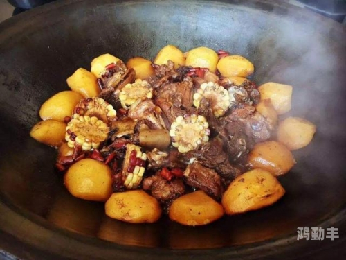 大炕上的肉伦第二部狗子大炕上的肉伦第二部——传统与现代交织的家族故事-第2张图片
