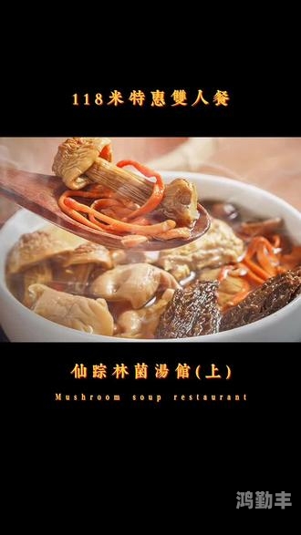 仙踪林官方入口首页，探索神秘仙境的门户-第1张图片