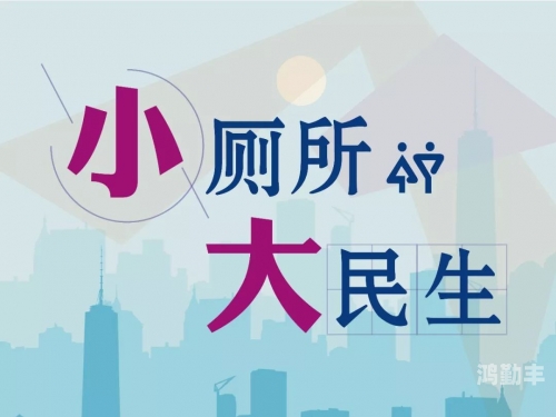 p***star亚洲亚洲厕拍，文化探索与现代厕所革命