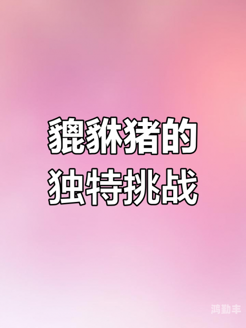 zzo0美国猪ZZO0美国猪，探索其背后的故事与意义