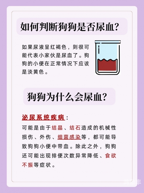 主人尿在肚子里不能流出来主人尿在肚子里不能流出来的故事-第1张图片