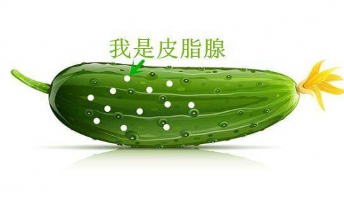小男生成长中的粉红玉茎，探索与理解