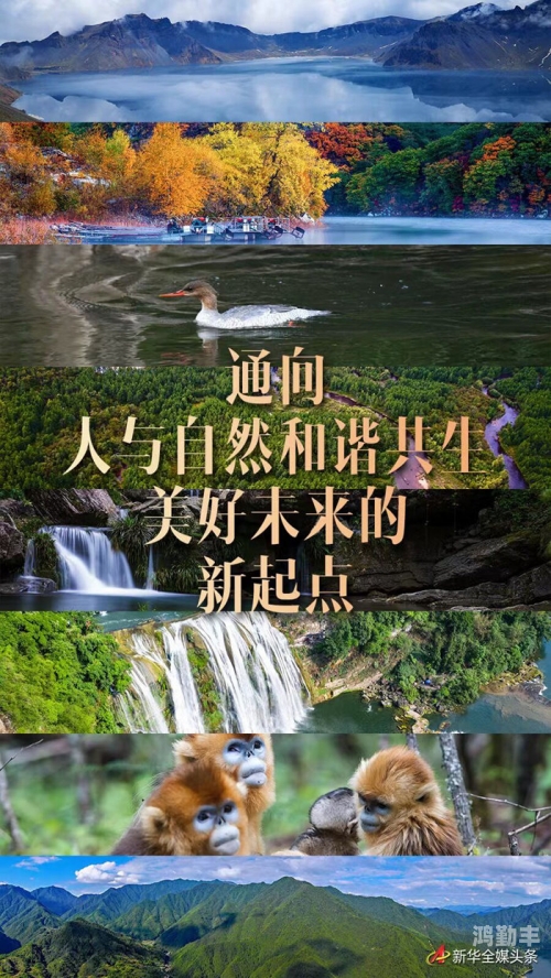 禽兽为邻，人与自然和谐共生的思考-第2张图片