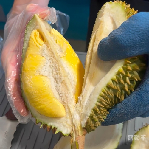 榴莲视频免费观看视频免费下载榴莲视频，免费观看与免费下载的便捷体验