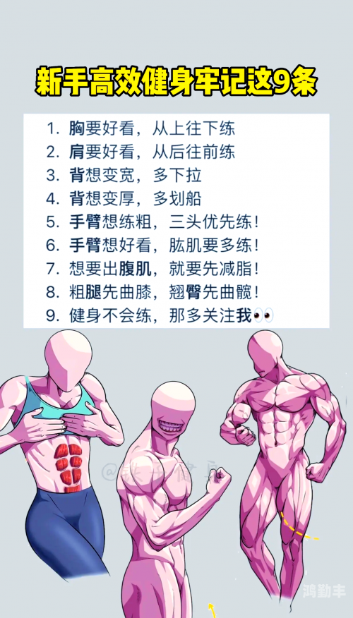健身教练的60话攻击部位下拉式-第3张图片