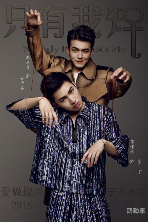 中国男同比例中国男同，探索与理解