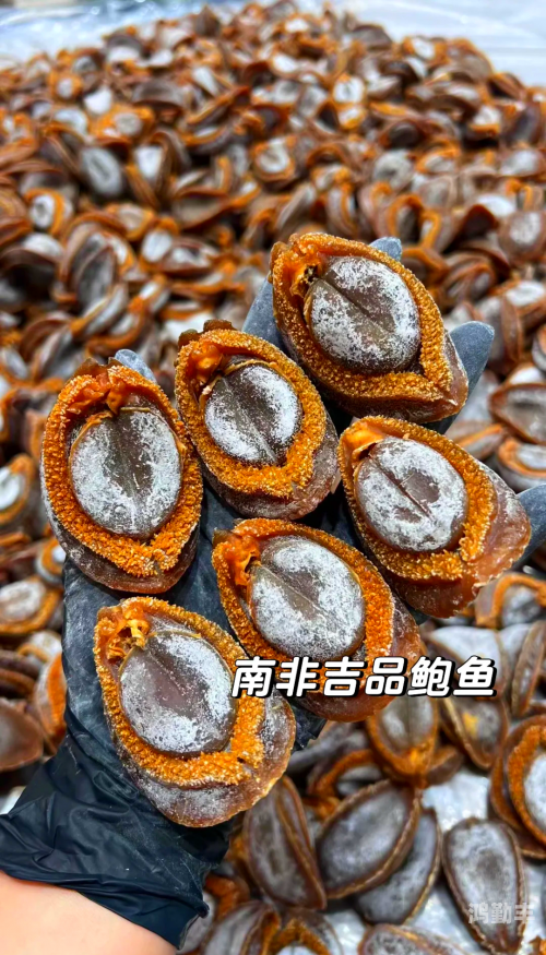 鲍鱼网站更改为什么鲍鱼网站，探索网络世界的独特魅力-第2张图片