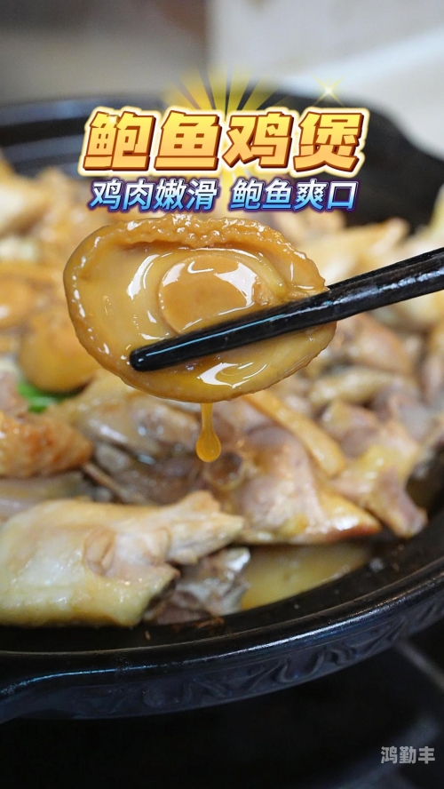 鲍鱼网站更改为什么鲍鱼网站，探索网络世界的独特魅力