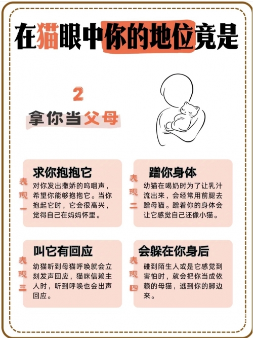 宝宝握住物品坐下睡觉的利与弊
